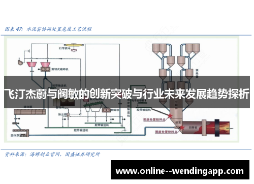 飞汀杰蔚与阀敏的创新突破与行业未来发展趋势探析